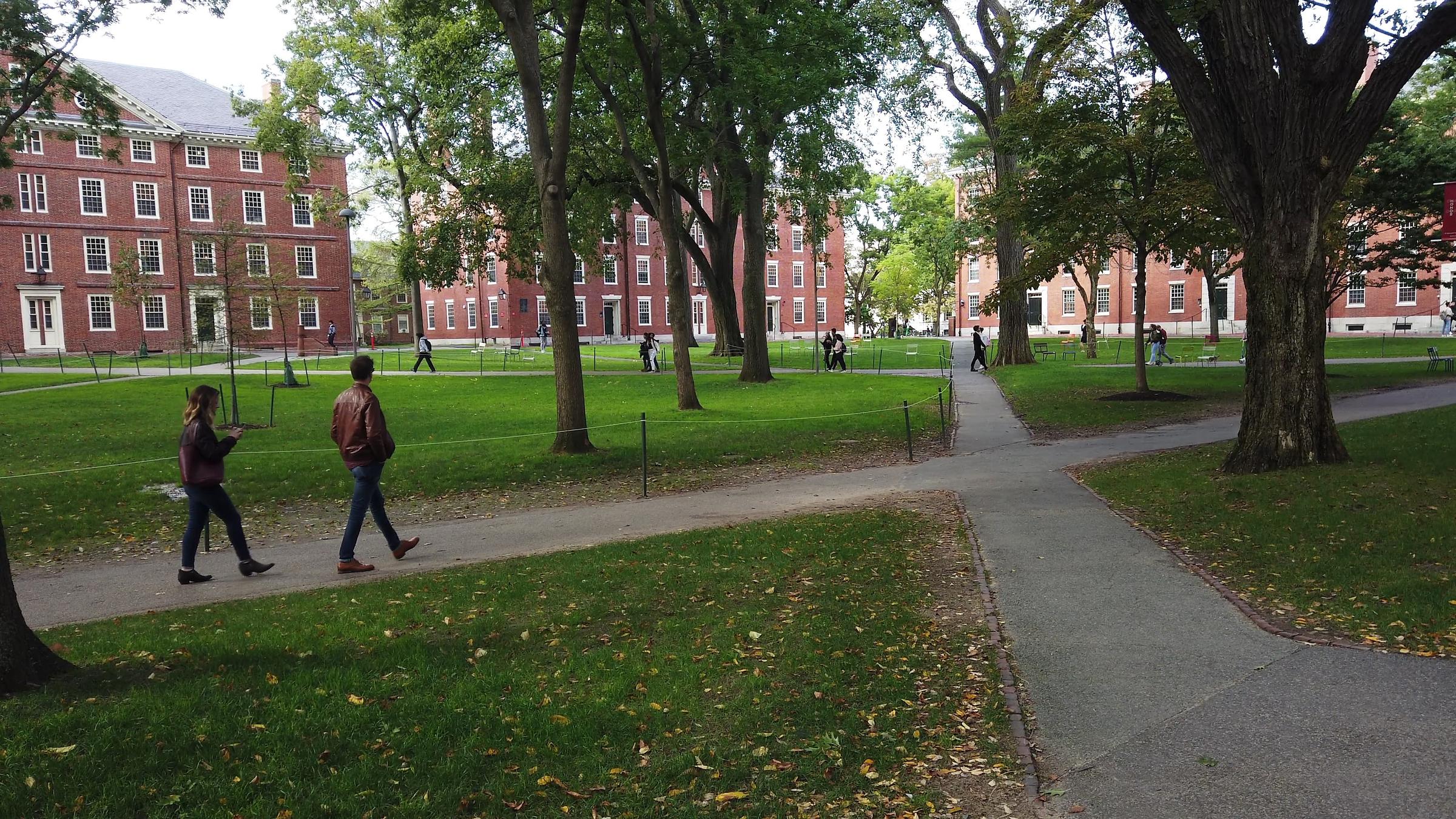 Paths crossing a Cambridge, Massachusetts campus